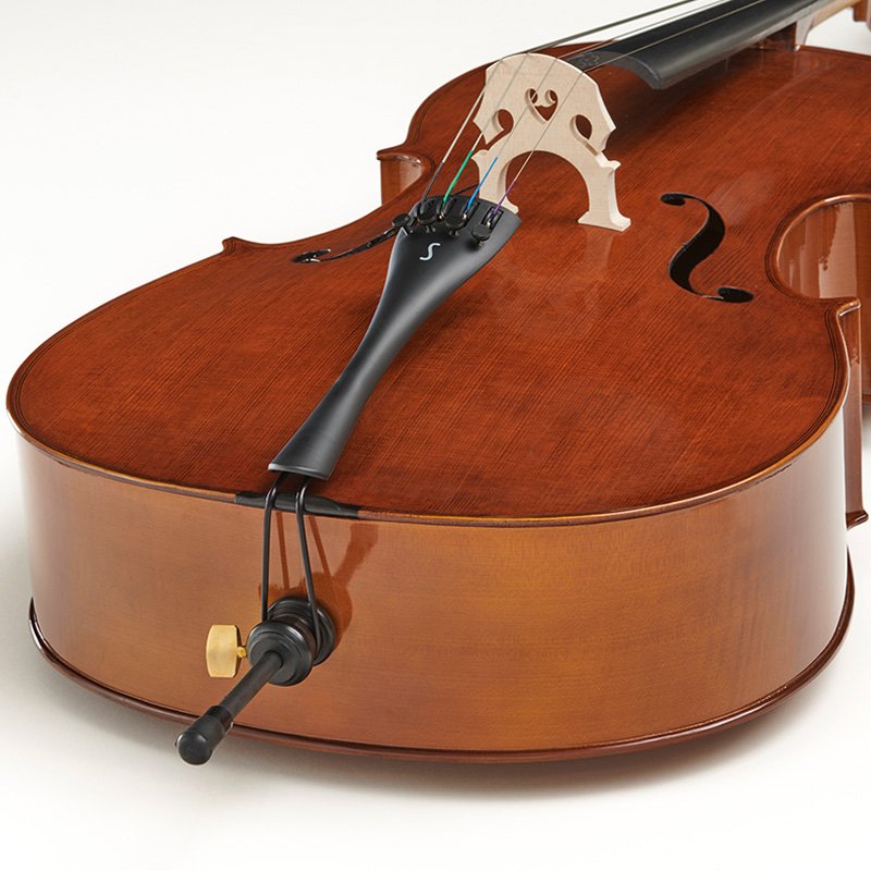 cellista